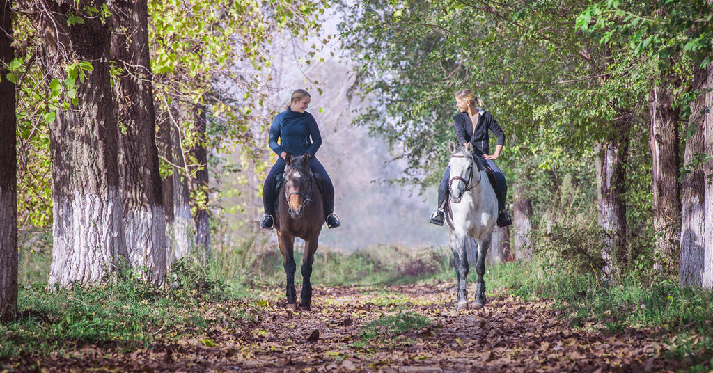 The Natural Advantage: Why Sheepskin Consistently Wins in Discussions