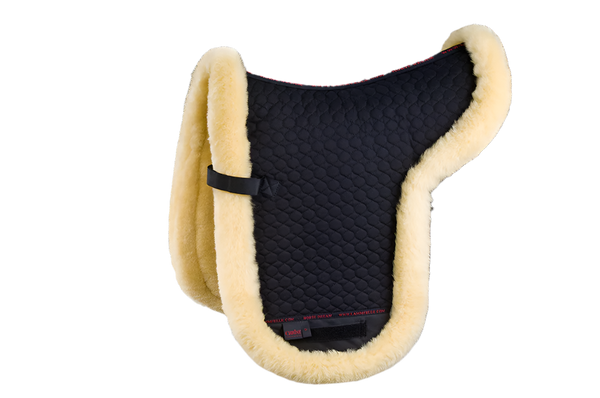 Shaped Pad with Border (Dressage) - Horsedream Importers