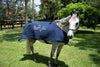 Therapeutic Infrared Blanket - Horsedream Importers
