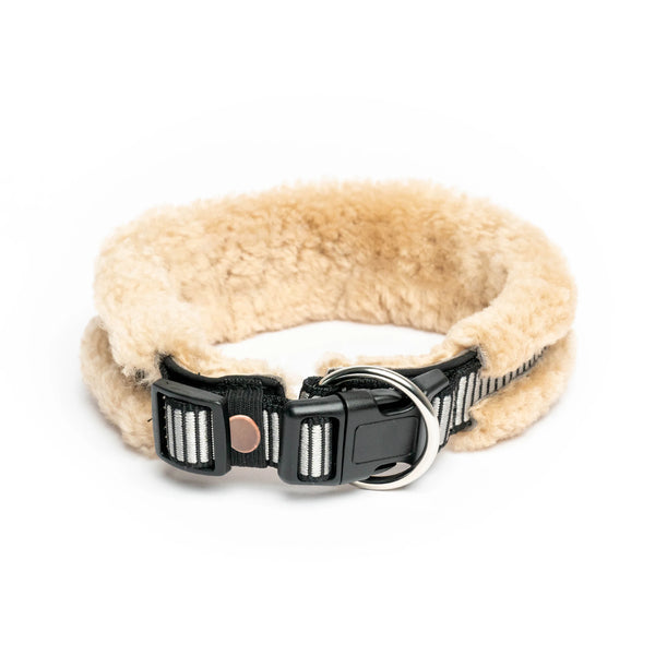 Horsedream Sheepskin Dog Collar - Horsedream Importers