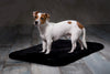 Dog Bed Chilly - Horsedream Importers
