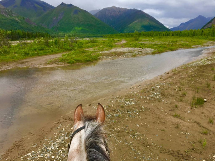 Researching Your Backcountry Trail Ride pt. III