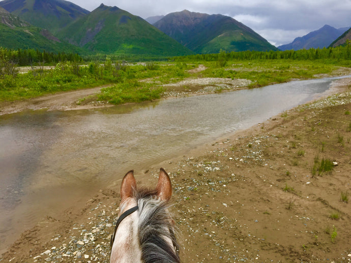 Research your Backcountry Horse Trips