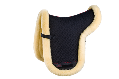 Shaped Pad with Border (Dressage) - Horsedream Importers