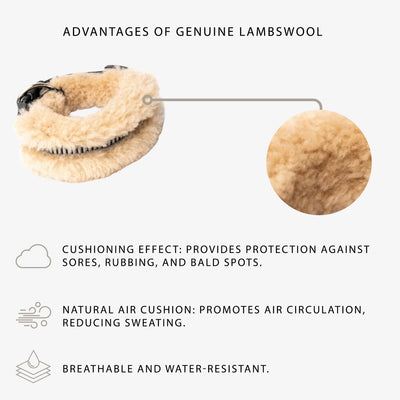 Horsedream Sheepskin Dog Collar - Horsedream Importers