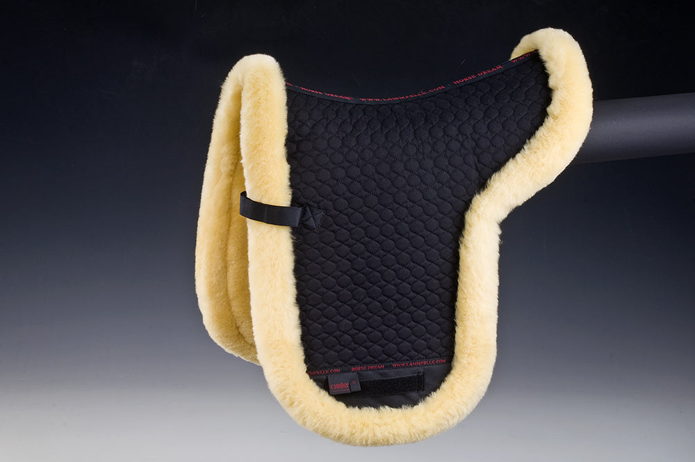 Shaped Pad with Border (Dressage) - Horsedream Importers